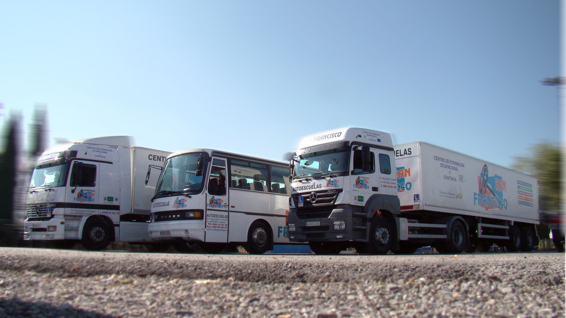 carnets de conducir. autoescuela en granada